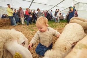 Festival Bicka 2016 248